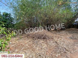 For sale land in Taphan Hin, Phichit
