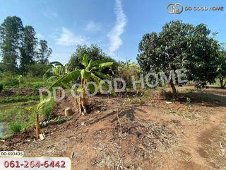 For sale land in Taphan Hin, Phichit