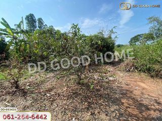 For sale land in Taphan Hin, Phichit