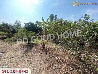 For sale land in Taphan Hin, Phichit