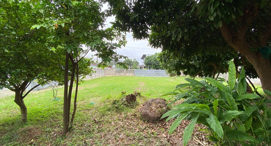 For rent 2 bedrooms house in San Sai, Chiang Mai