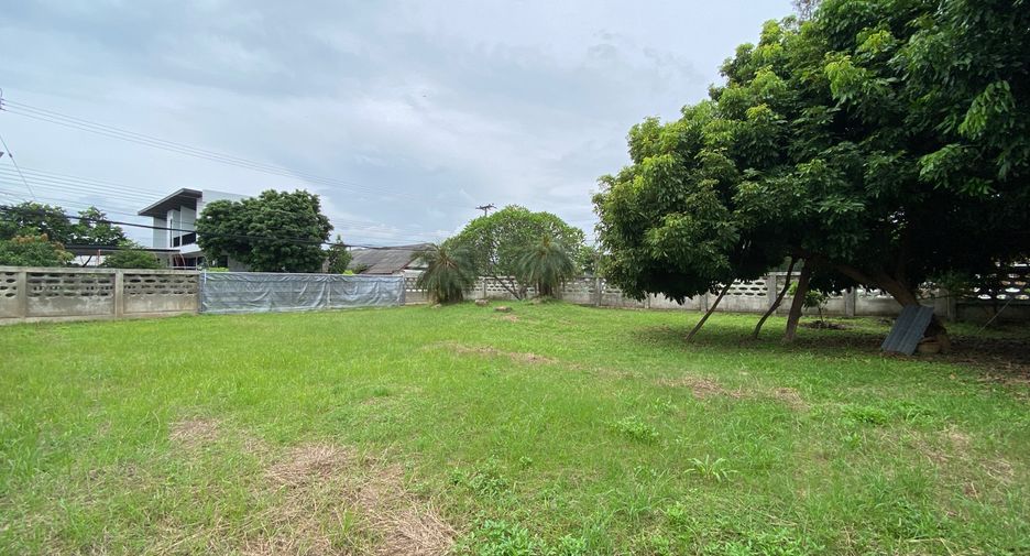 For rent 2 bedrooms house in San Sai, Chiang Mai
