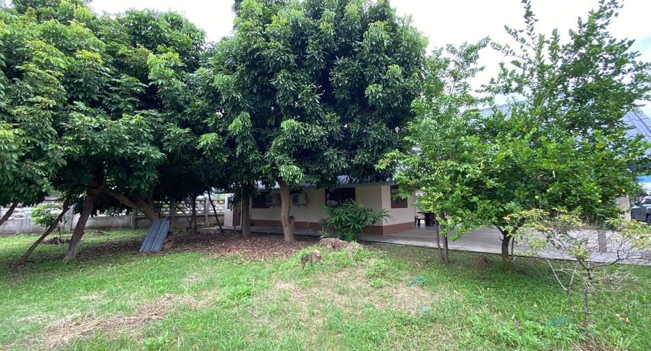 For rent 2 bedrooms house in San Sai, Chiang Mai