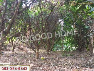 For sale land in Ko Chan, Chonburi