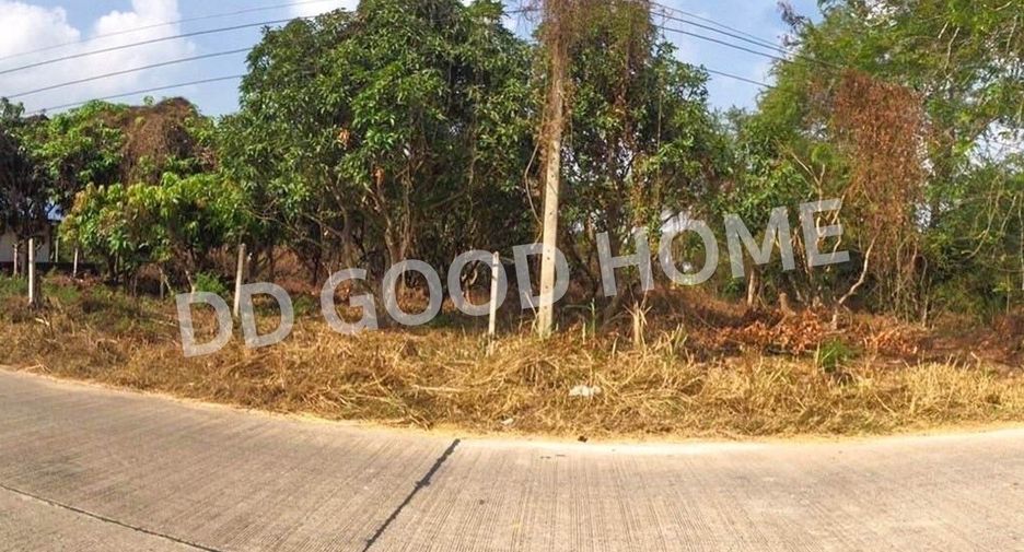 For sale land in Ko Chan, Chonburi