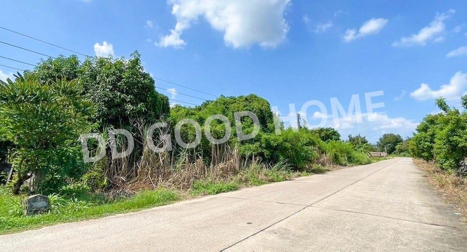 For sale land in Ko Chan, Chonburi