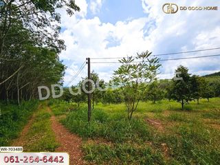 For sale land in Khao Saming, Trat