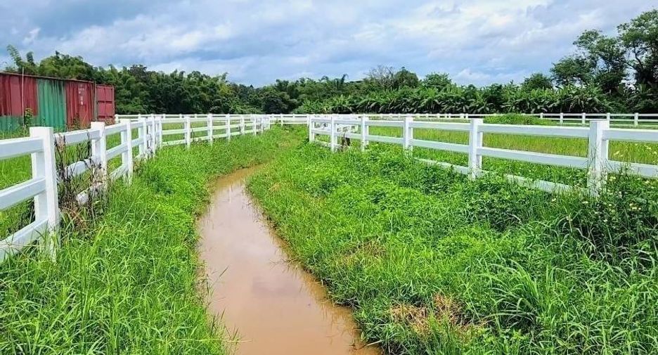 For sale land in Mae Rim, Chiang Mai