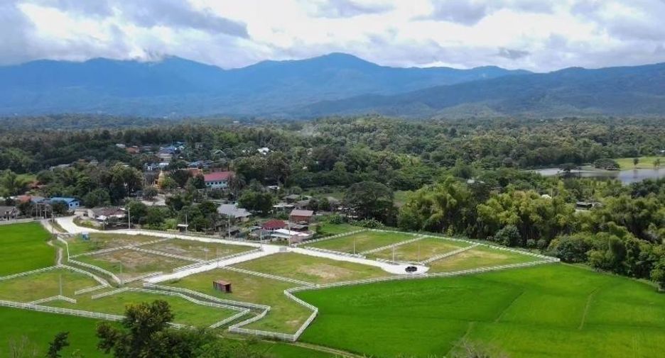 For sale land in Mae Rim, Chiang Mai