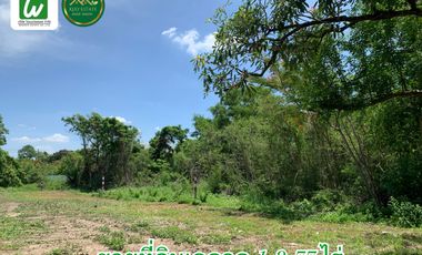 For sale land in Bang Phli, Samut Prakan