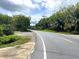 For sale land in Takua Thung, Phang Nga