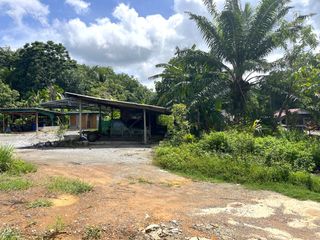 For sale land in Takua Thung, Phang Nga