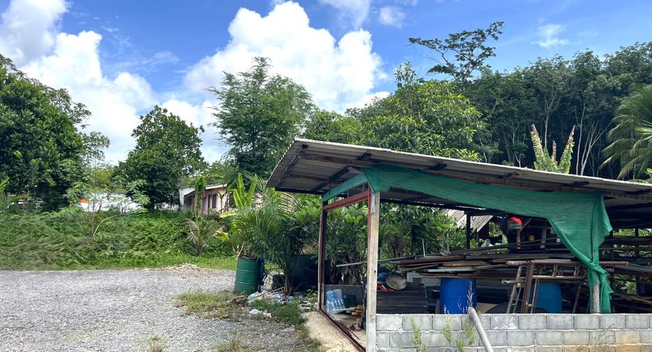 ขาย ที่ดิน ใน ตะกั่วทุ่ง, พังงา