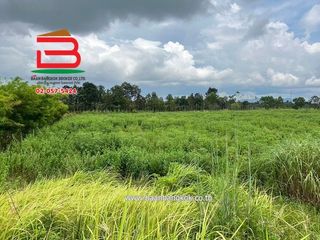 出售 土地 在 Kabin Buri, Prachin Buri