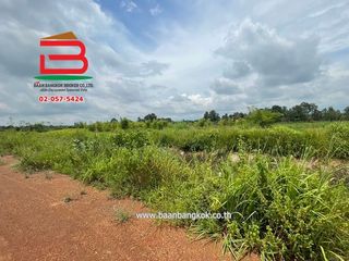 出售 土地 在 Kabin Buri, Prachin Buri