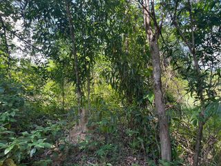 Terreno en venta en Thai Mueang, Phang Nga