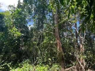 Terreno en venta en Thai Mueang, Phang Nga