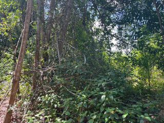 Terreno en venta en Thai Mueang, Phang Nga