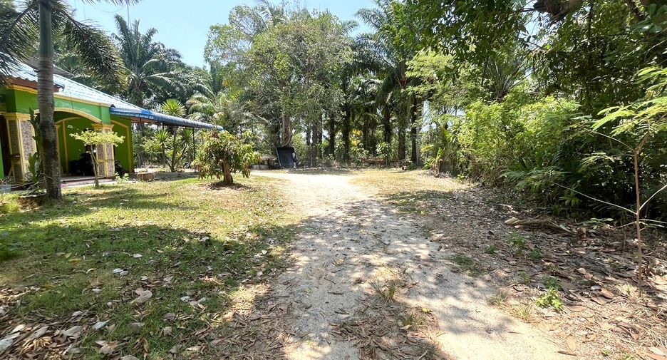 For sale 4 bedrooms house in Takua Thung, Phang Nga