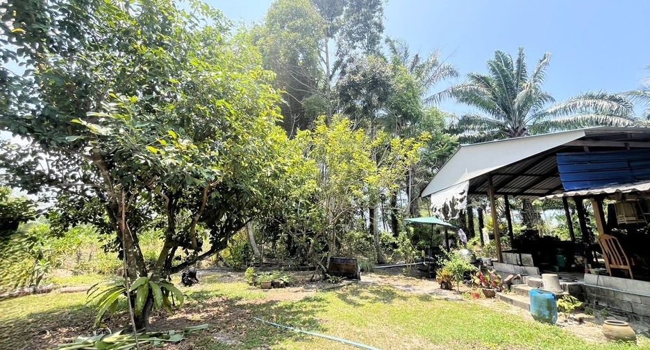 For sale 4 bedrooms house in Takua Thung, Phang Nga