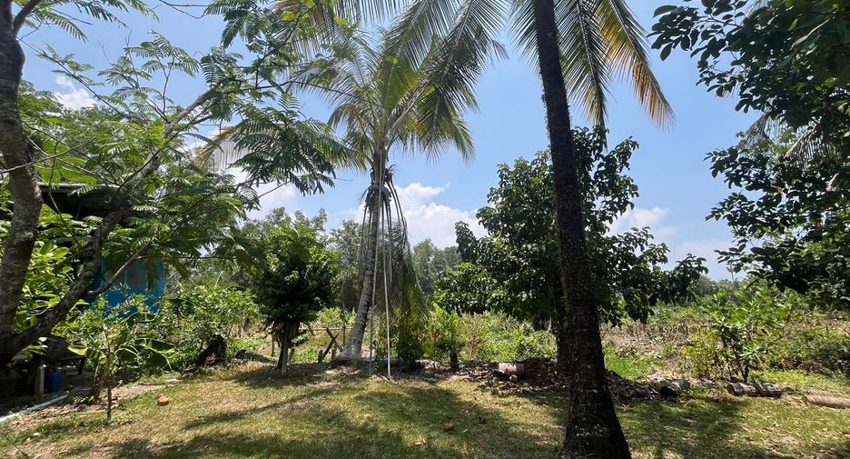 For sale 4 bedrooms house in Takua Thung, Phang Nga