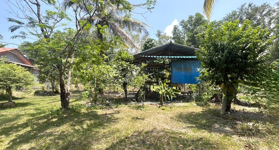 For sale 4 bedrooms house in Takua Thung, Phang Nga
