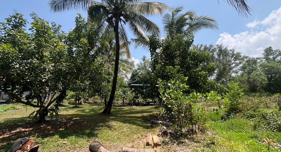 For sale 4 bedrooms house in Takua Thung, Phang Nga