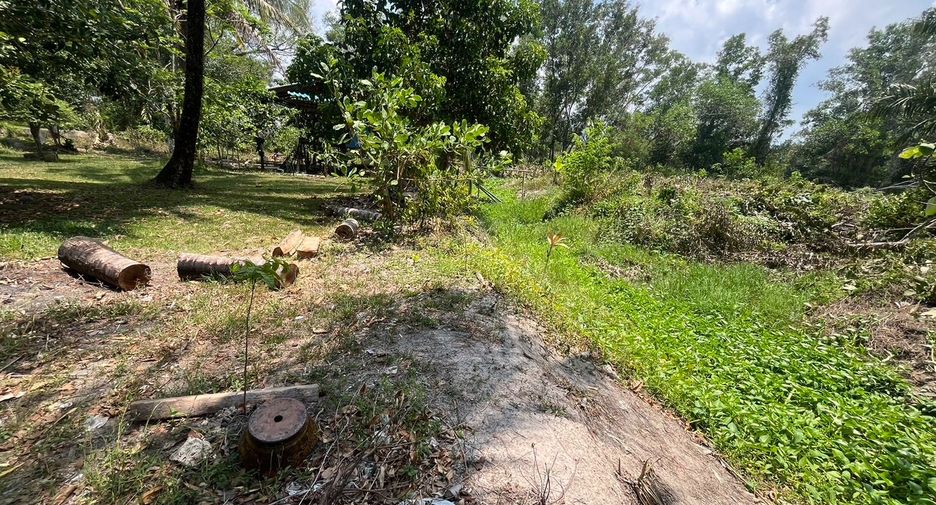 For sale 4 bedrooms house in Takua Thung, Phang Nga