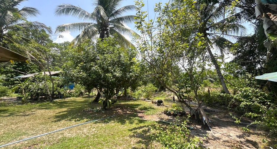 For sale 4 bedrooms house in Takua Thung, Phang Nga