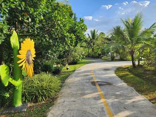 For sale land in Ban Na, Nakhon Nayok