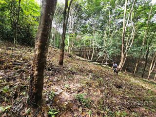 ขาย ที่ดิน ใน เมืองกระบี่, กระบี่