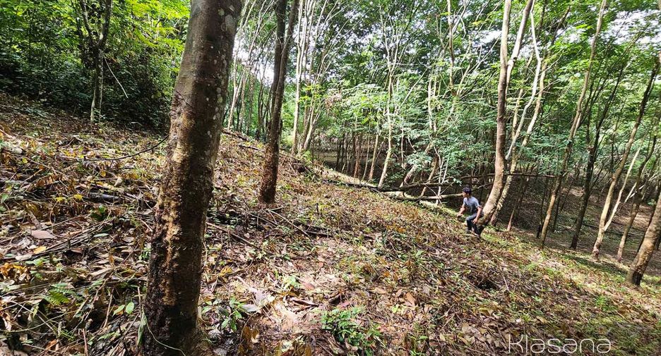 ขาย ที่ดิน ใน เมืองกระบี่, กระบี่