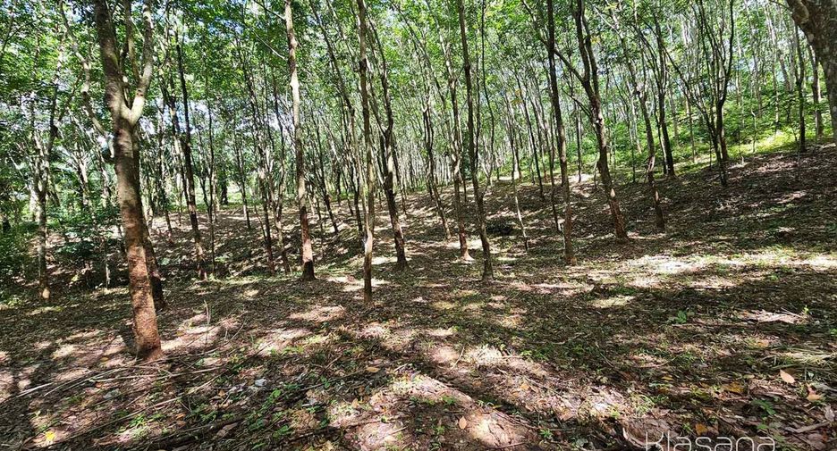 ขาย ที่ดิน ใน เมืองกระบี่, กระบี่