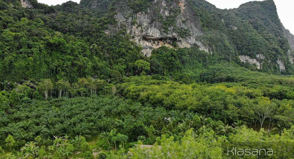 ขาย ที่ดิน ใน เมืองกระบี่, กระบี่