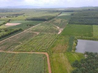For sale land in Nong Yai, Chonburi