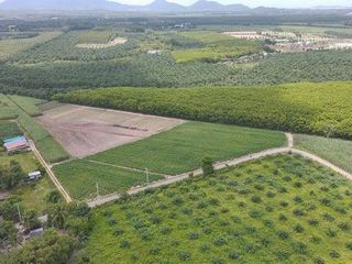 For sale land in Nong Yai, Chonburi