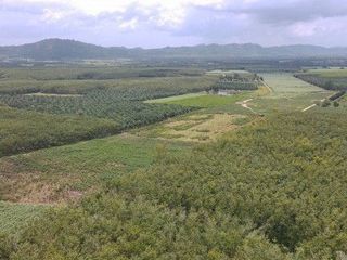 For sale land in Nong Yai, Chonburi