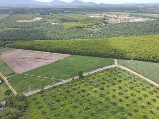 For sale land in Nong Yai, Chonburi