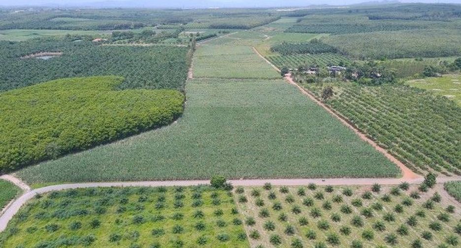 For sale land in Nong Yai, Chonburi