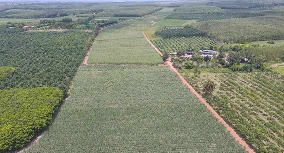 For sale land in Nong Yai, Chonburi