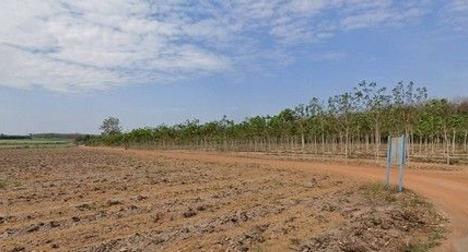 For sale land in Nong Yai, Chonburi