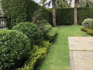 For sale 5 Beds house in Thawi Watthana, Bangkok