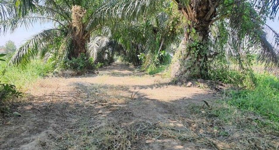 出售 土地 在 Phanat Nikhom, Chon Buri