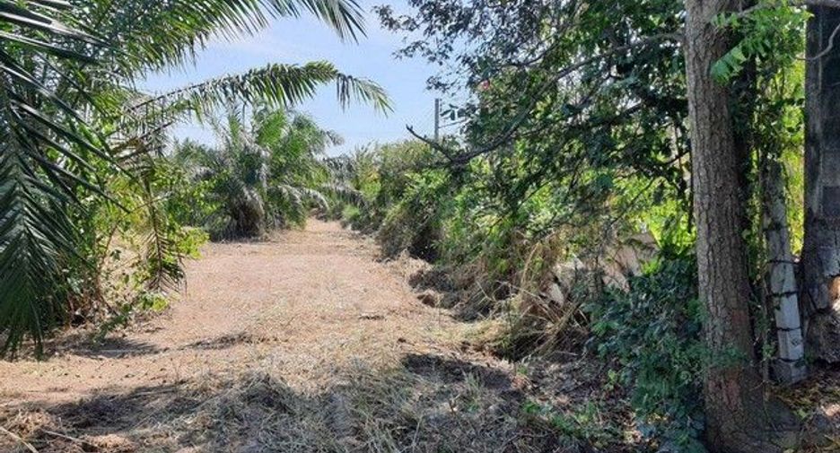 出售 土地 在 Phanat Nikhom, Chon Buri