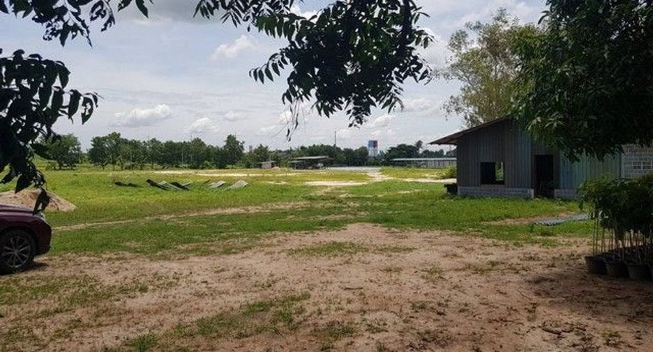 For sale land in Phanat Nikhom, Chonburi