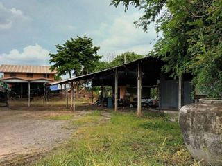 For sale land in Sao Hai, Saraburi