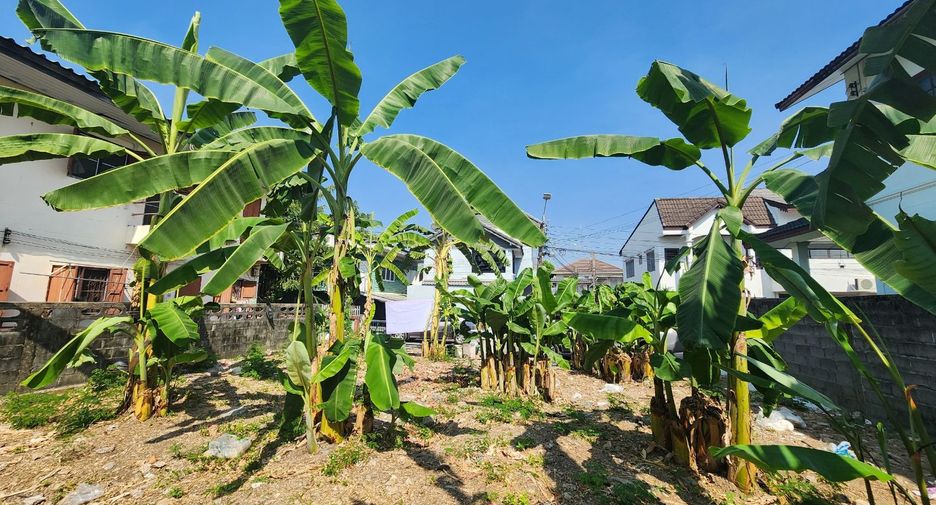 For rent and for sale land in Mueang Nonthaburi, Nonthaburi