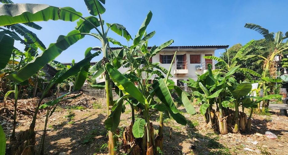 For rent and for sale land in Mueang Nonthaburi, Nonthaburi
