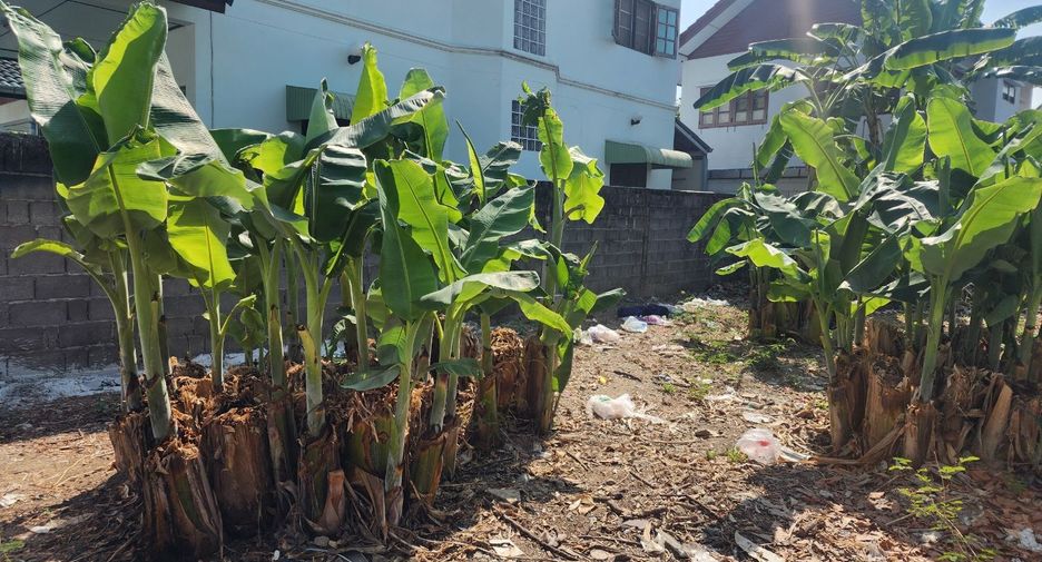 For rent and for sale land in Mueang Nonthaburi, Nonthaburi