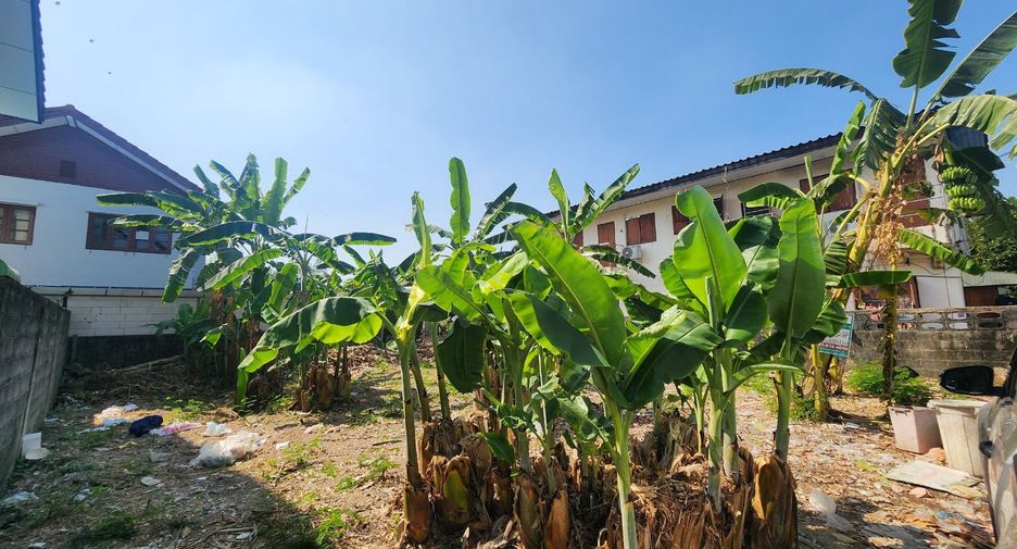 For rent and for sale land in Mueang Nonthaburi, Nonthaburi